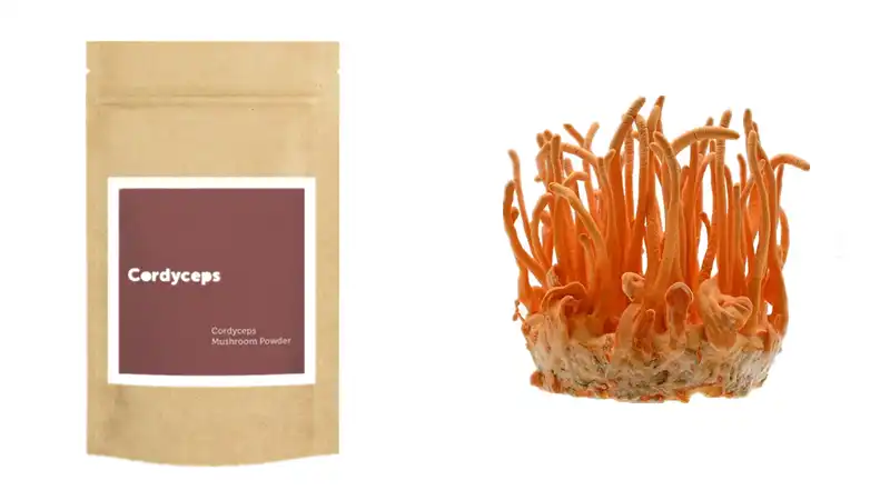 How Customized Cordyceps Militaris Extract Fights Aging?